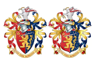 Custom Design of Arms